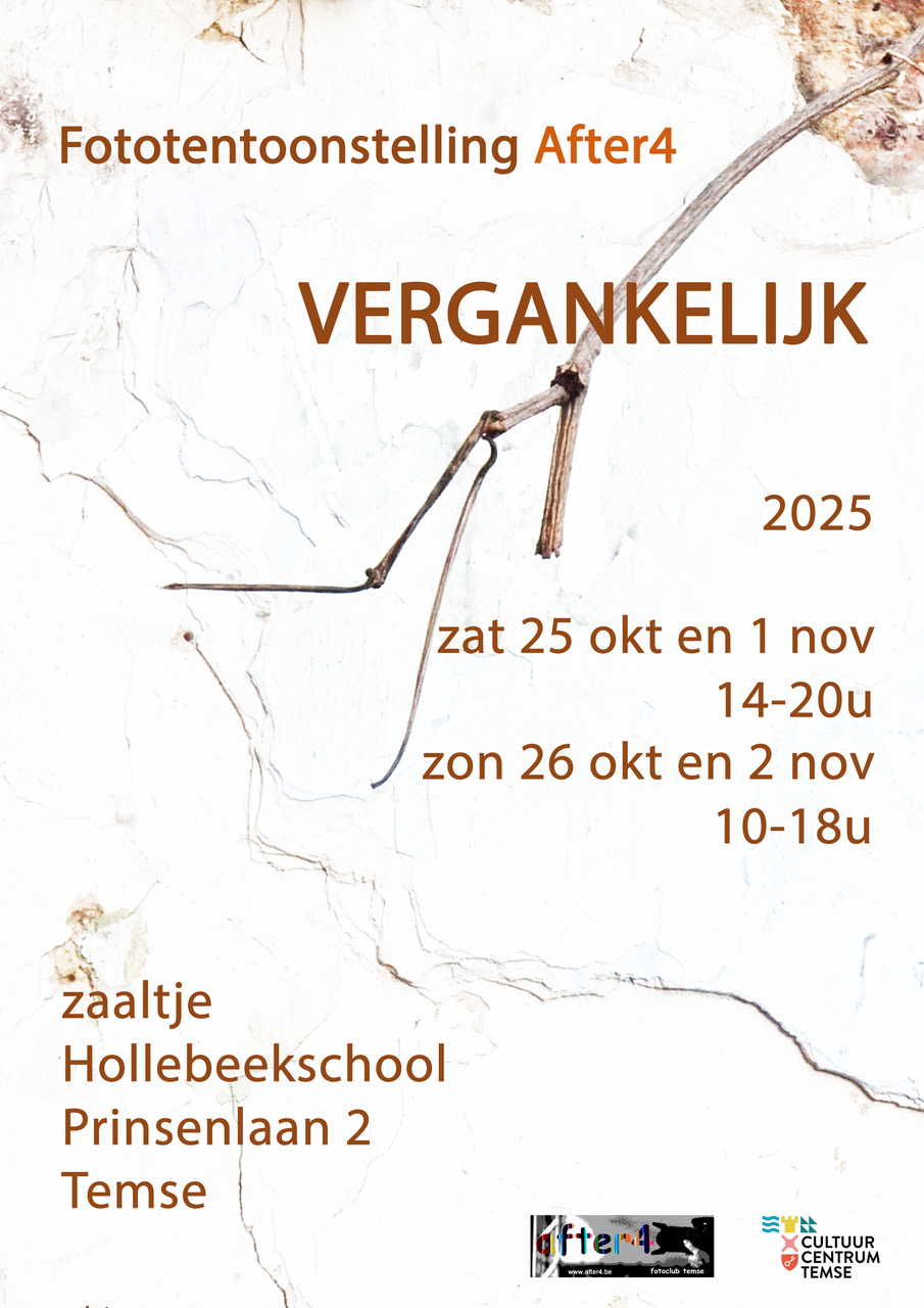 Affiche tentoonstelling VERGANKELIJK